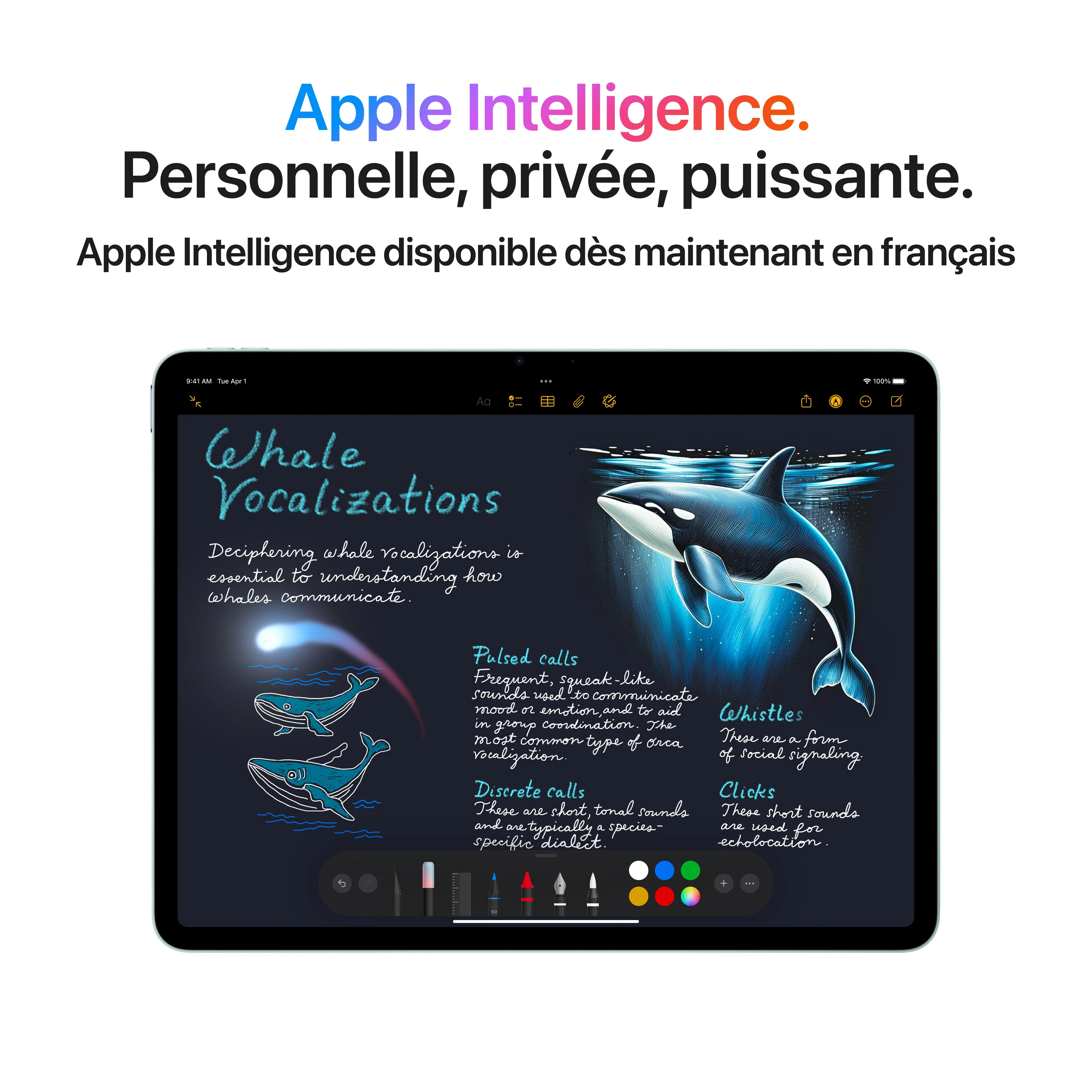 Image du produit 9